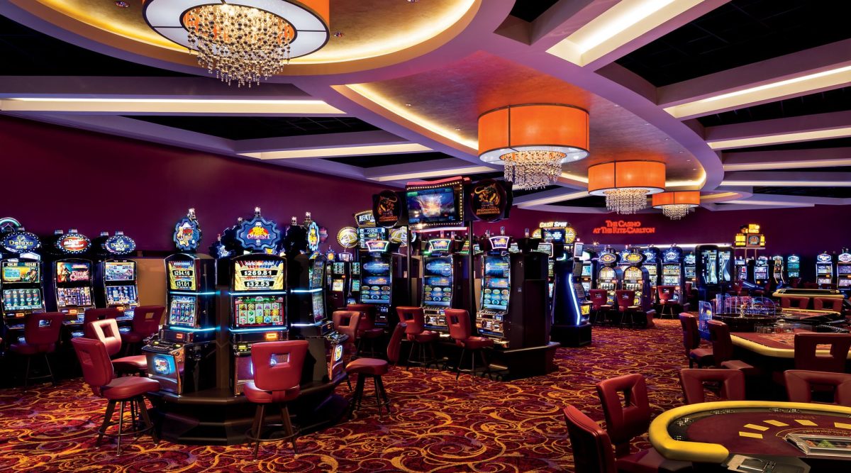 Some Starling Options That Come With An Internet Gambling establishment Which You May Not Be Aware Of