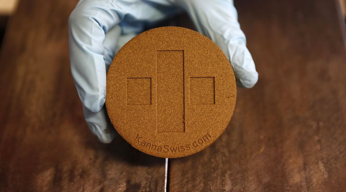 Legal Hashish